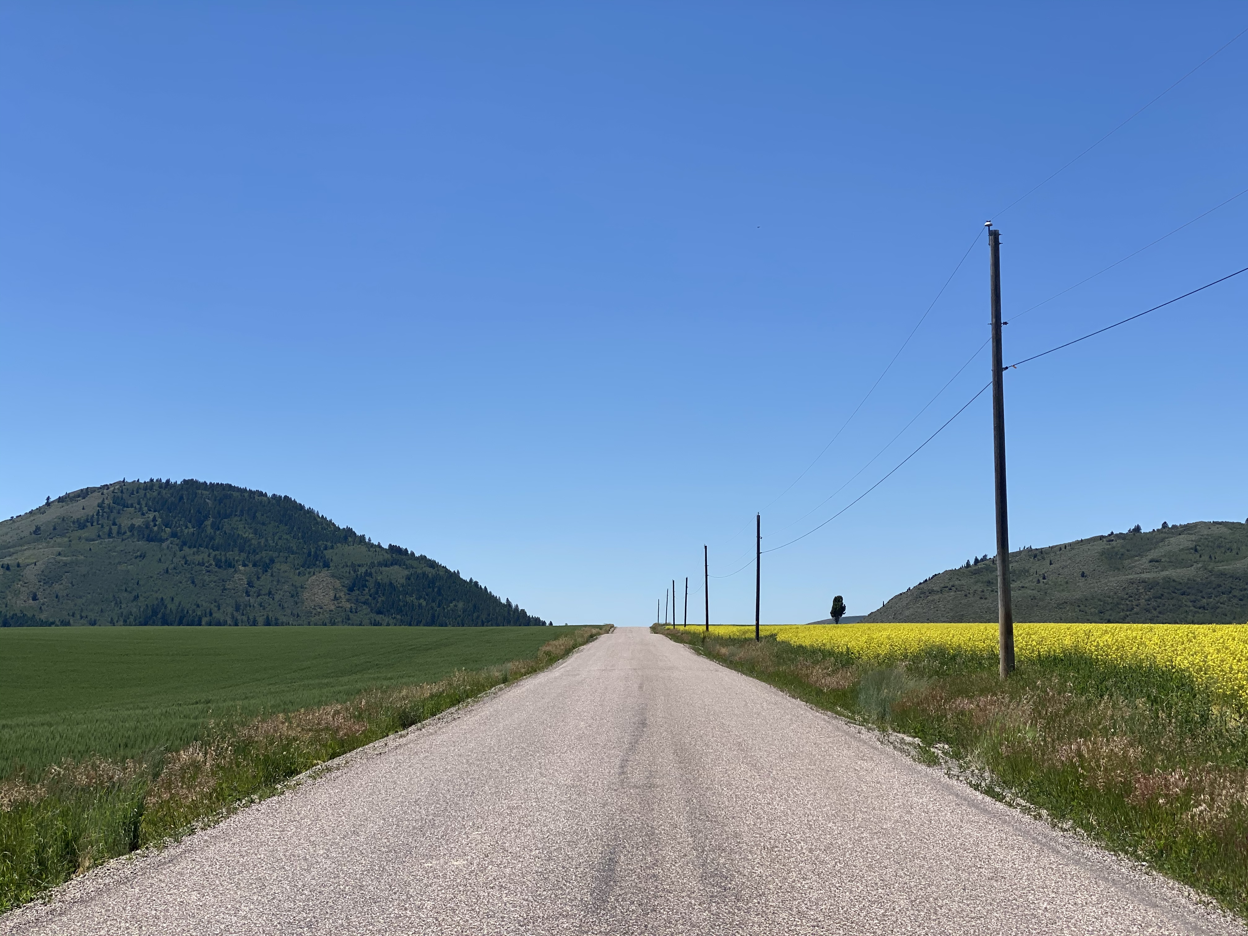 China Cap Rd. near Conda, Idaho (July 21, 2020)