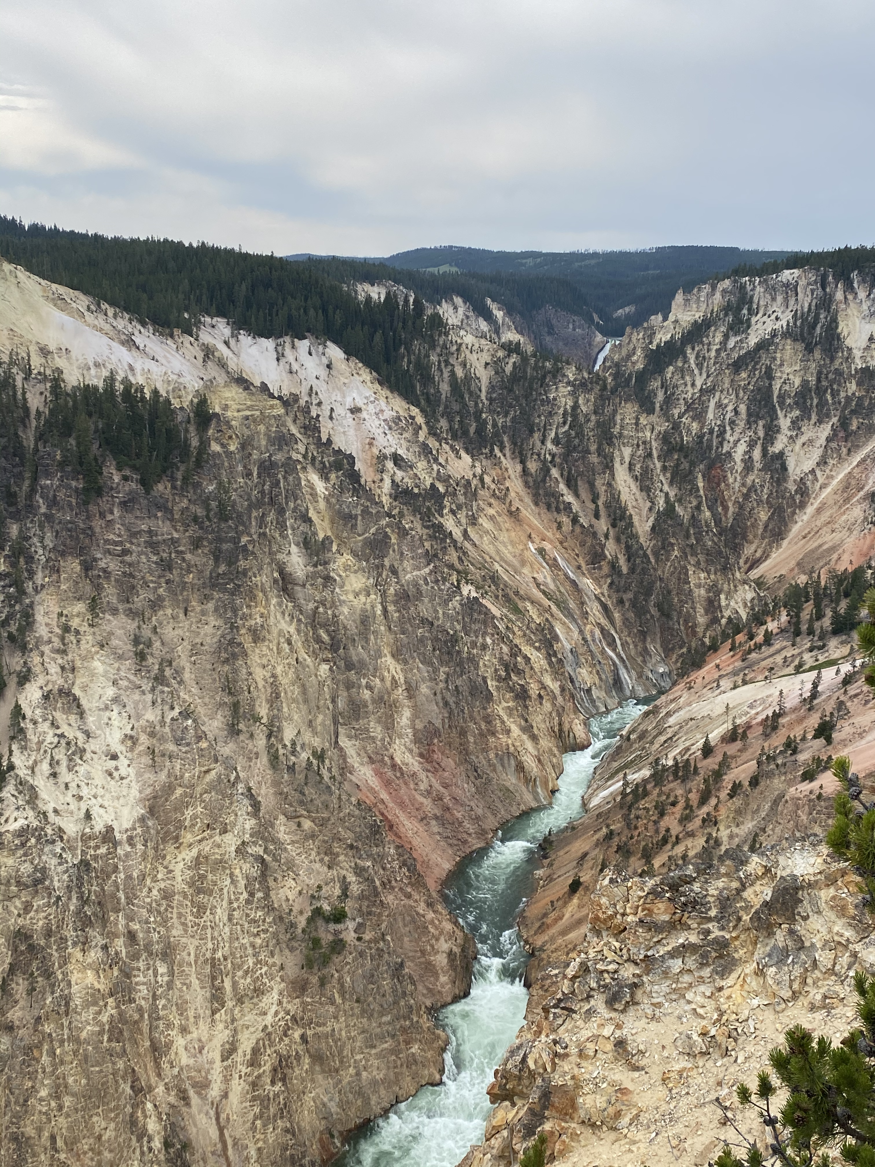 Grand Canyon of the Yellowstone, Wyoming (July 22, 2020)