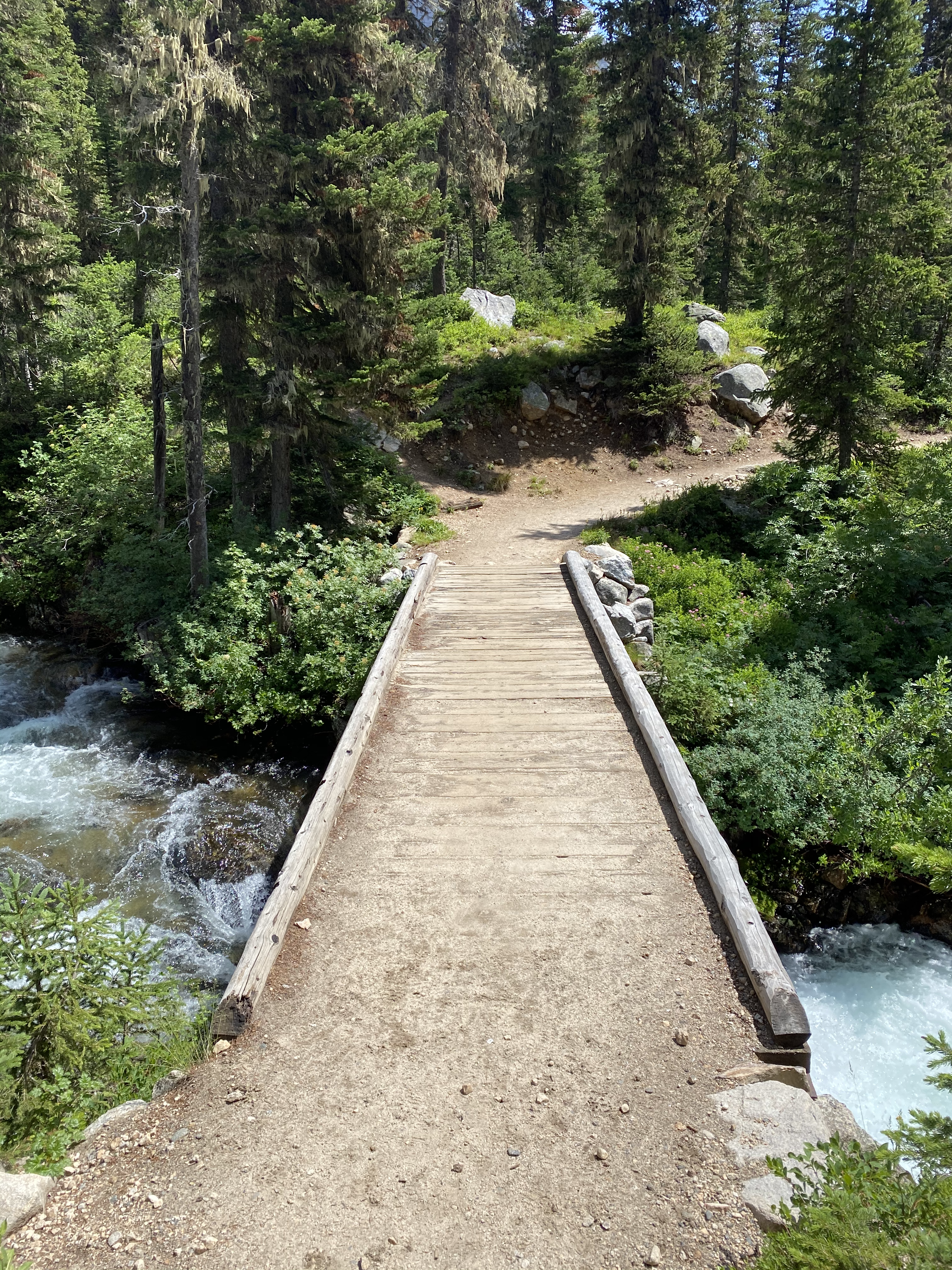 Cascade Canyon, Grand Teton National Park, Wyoming (July 23, 2020)